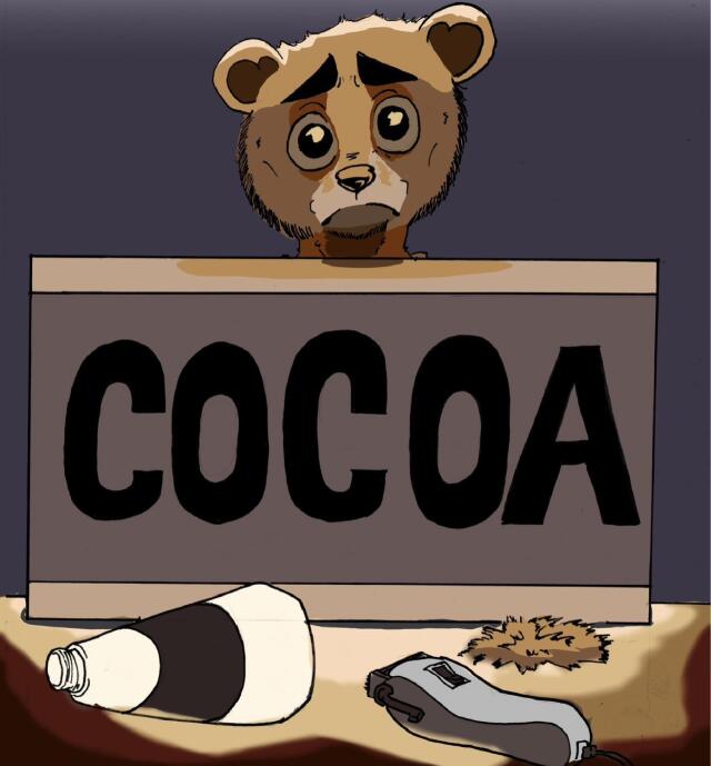 COCOA