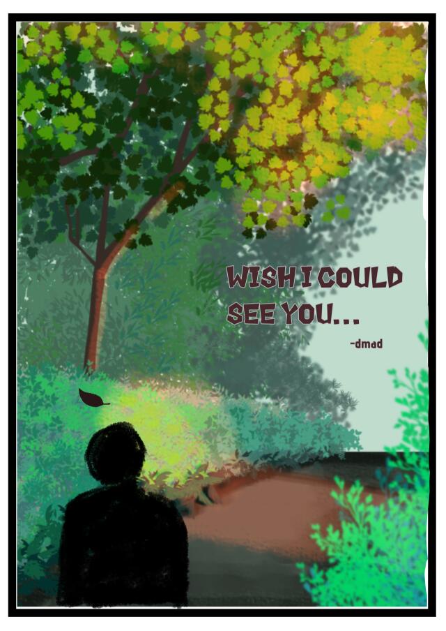 Wish I could see you
