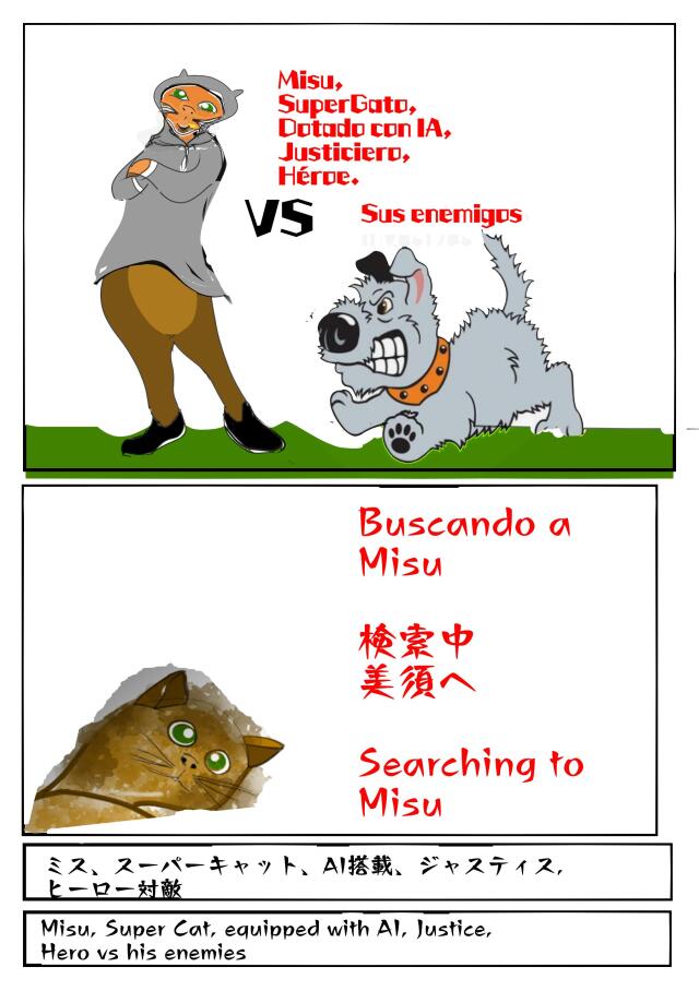 Buscando a Misu