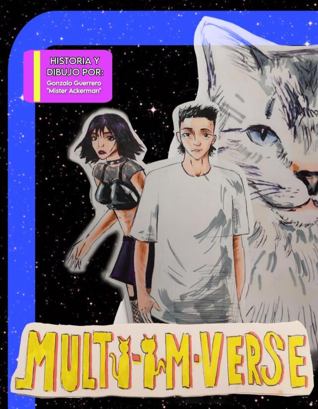 MULTI-IM-VERSE