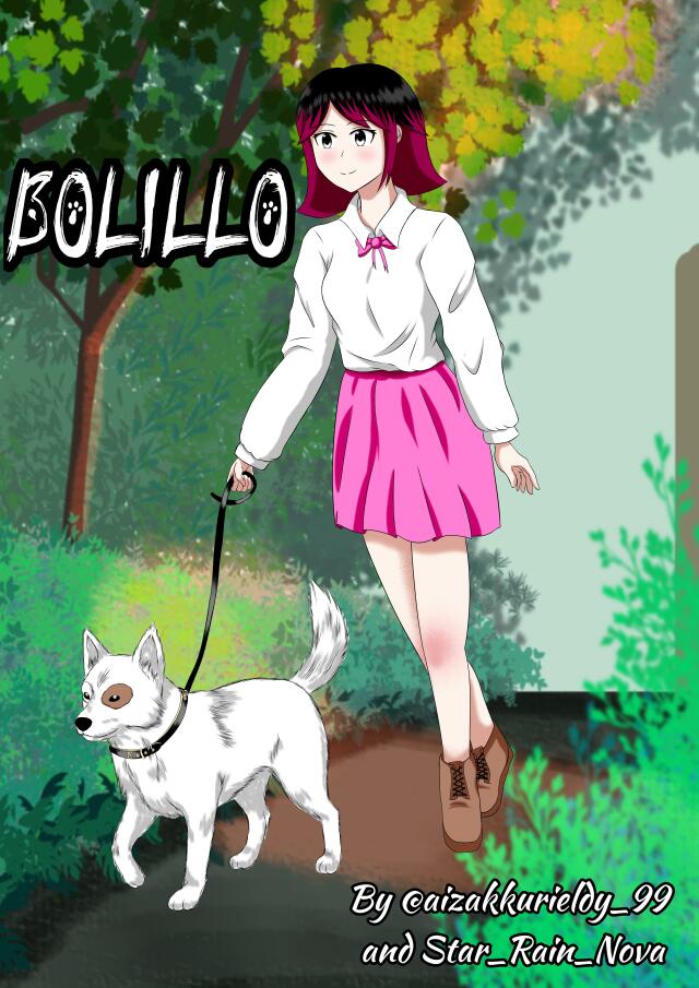 BOLILLO