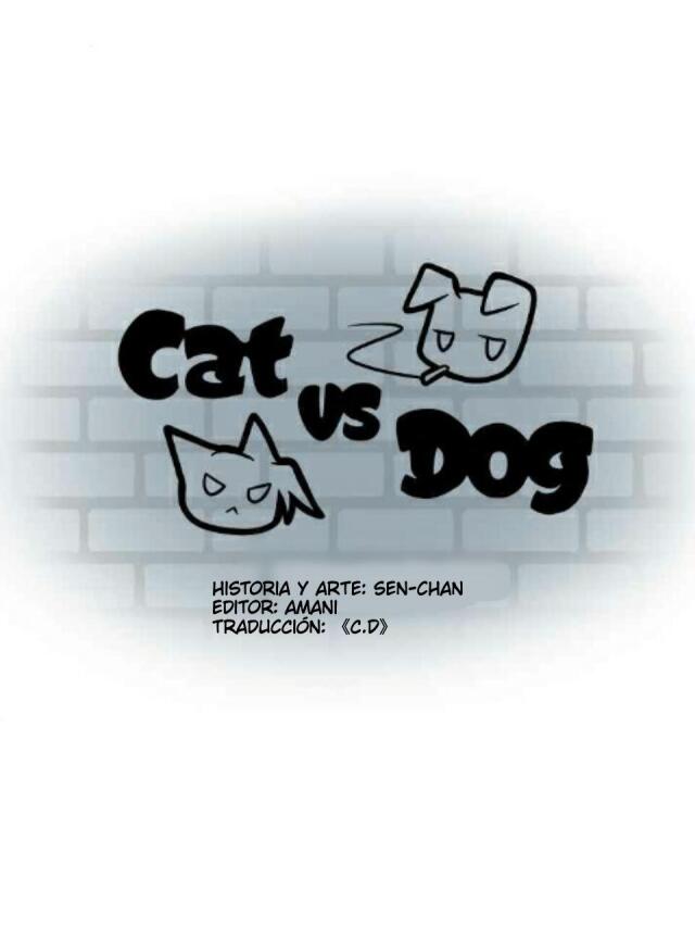 gato vs perro