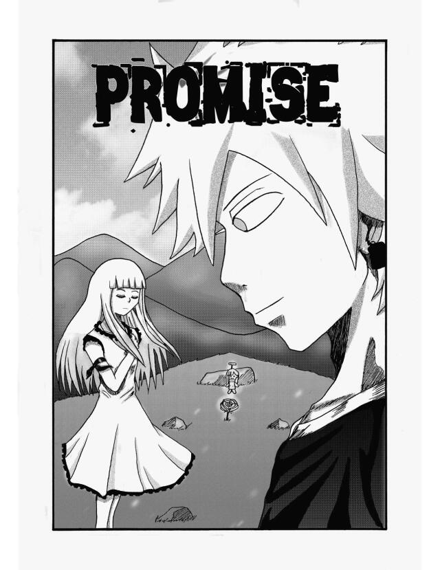 PROMISE