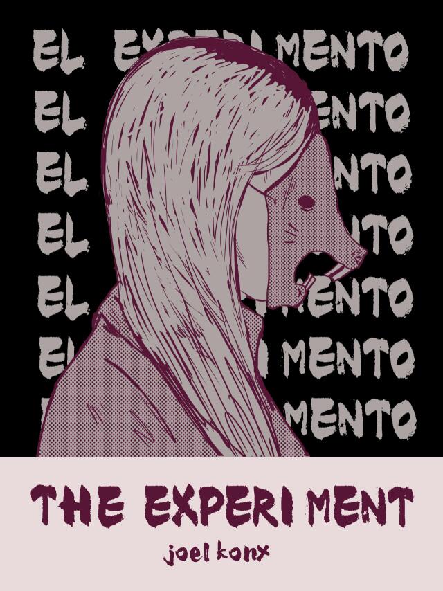 The Experiment 