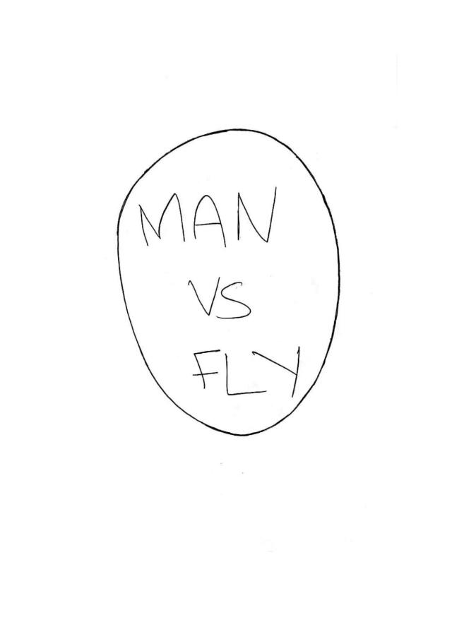 Man vs. Fly