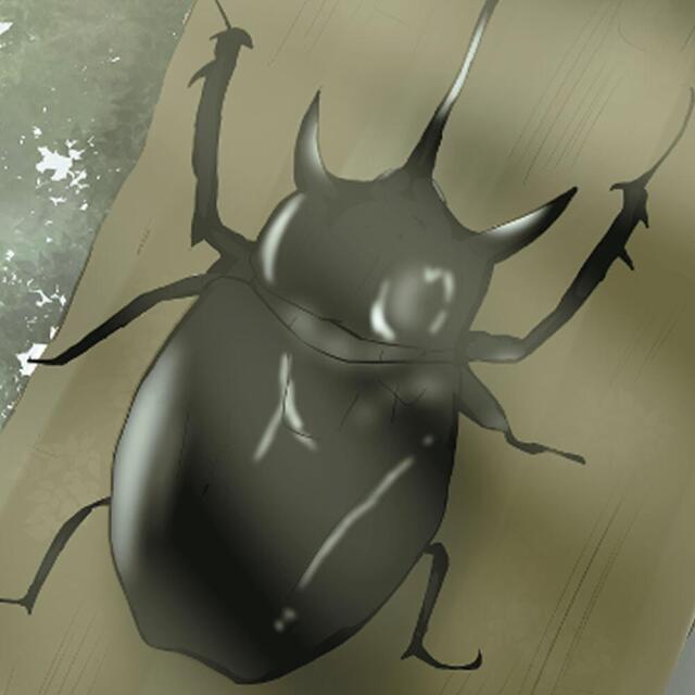 it&#039;s important to like beetles !
