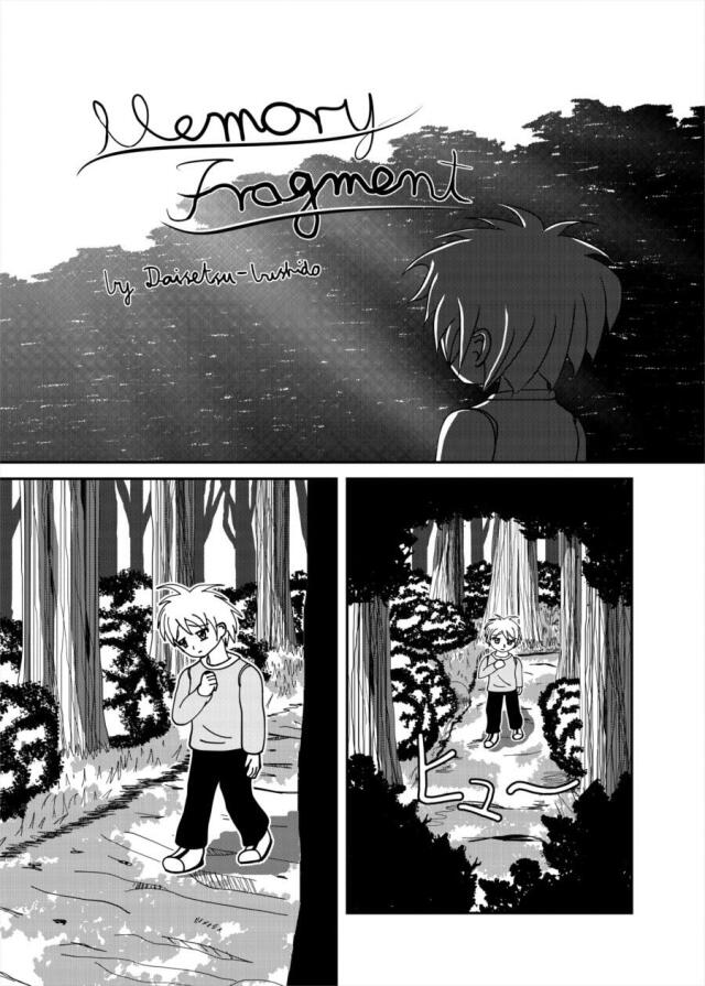 Memory Fragment