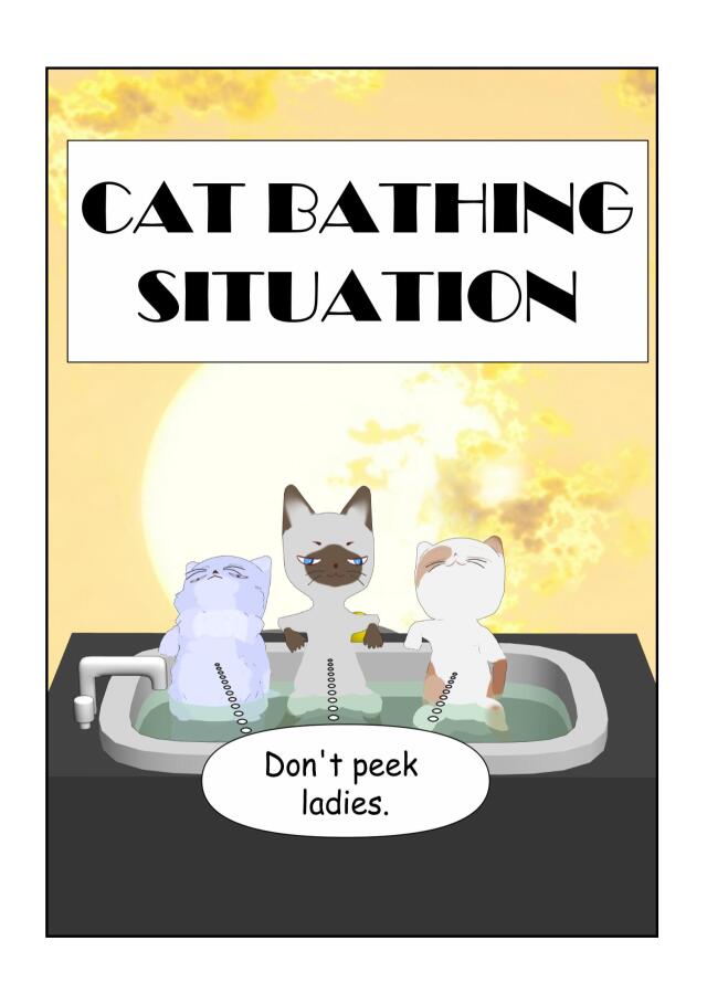 Cat Bathing Situation