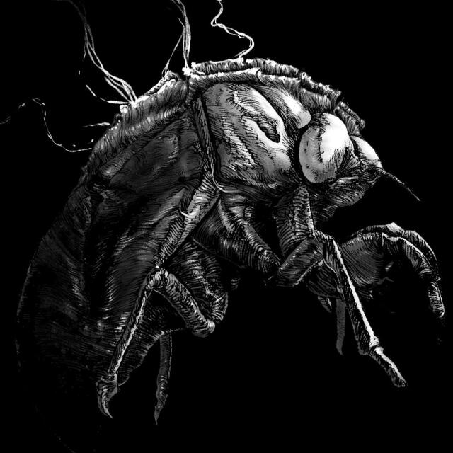 Why Cicadas Whisper In Autumn