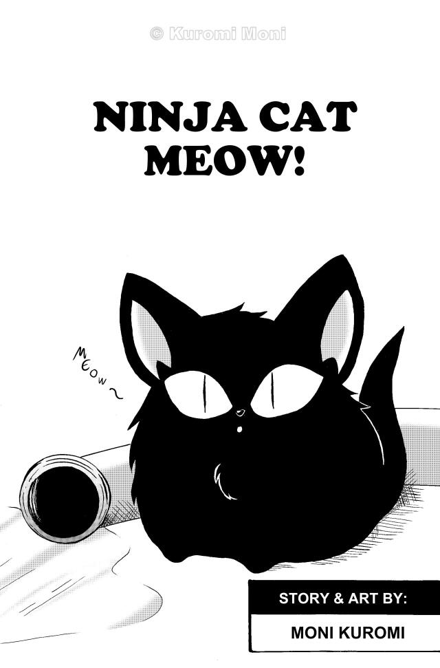 Ninja Cat Meow!