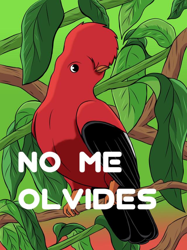 NO ME OLVIDES