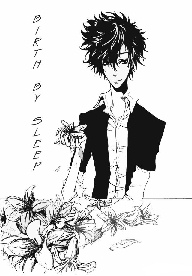 birth by sleep