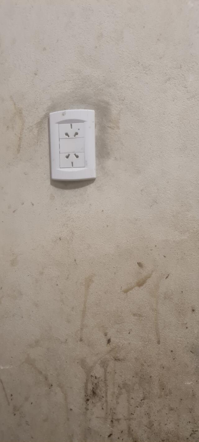 La elegida de el