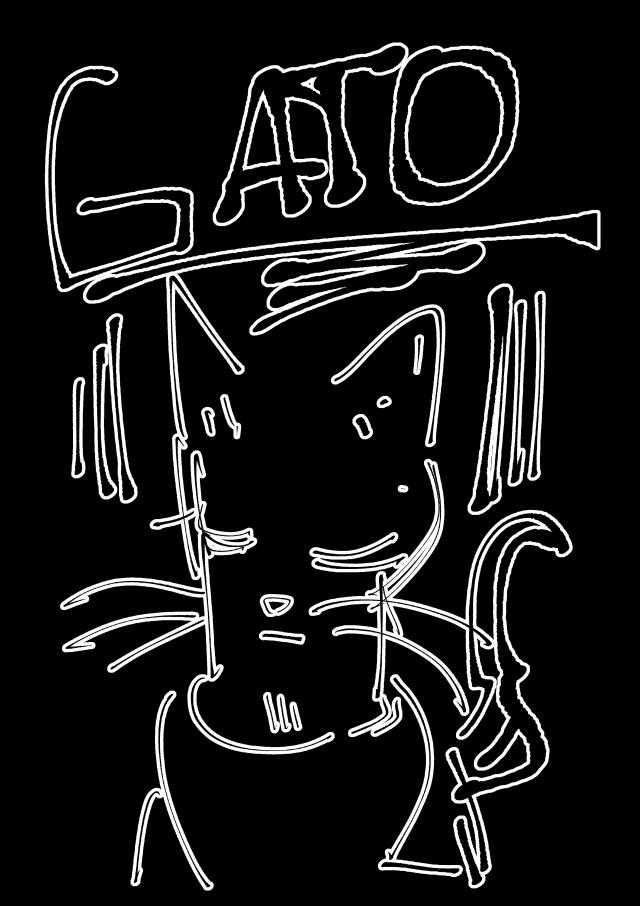 Gato