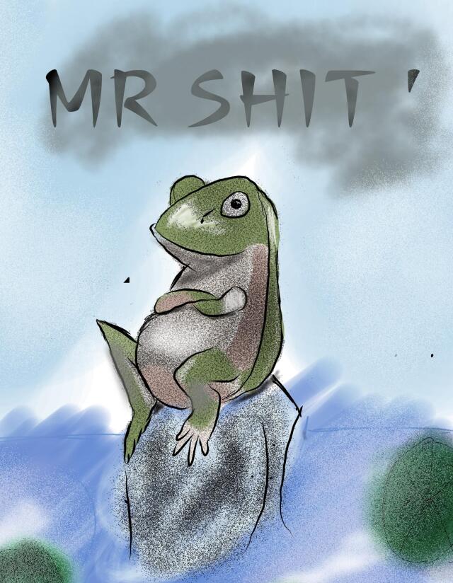 Mr SHIT
