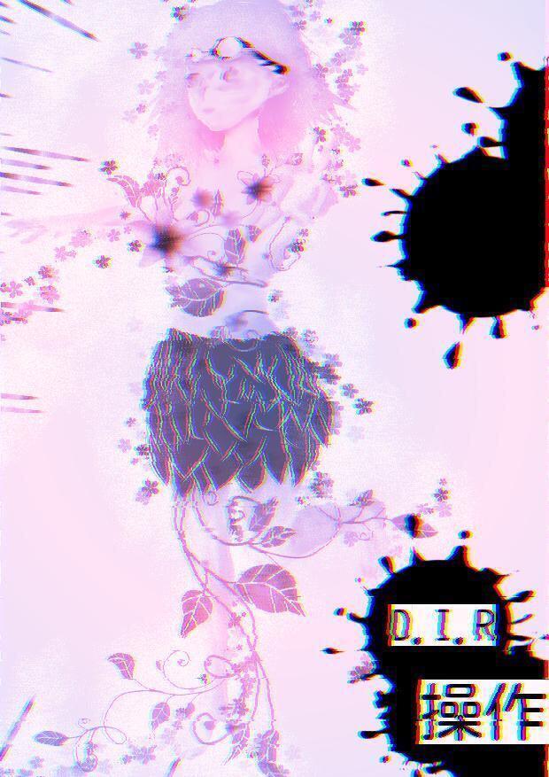 OPERACIÓN D.I.R