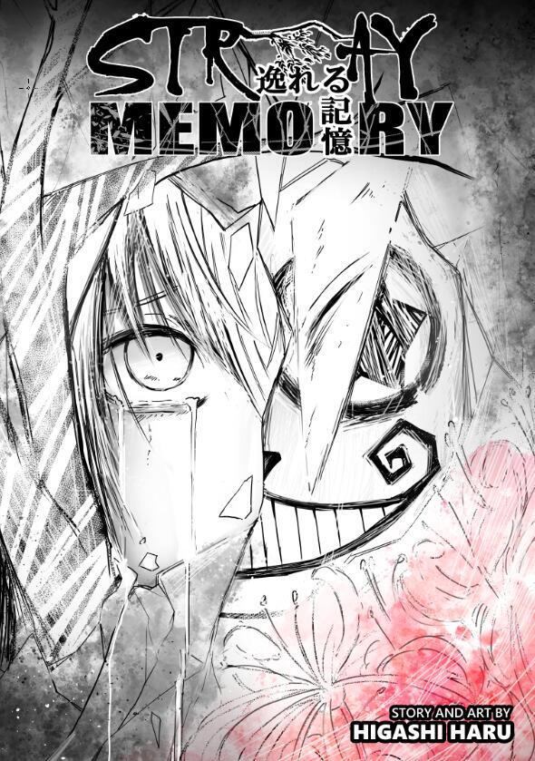 STRAY MEMORY