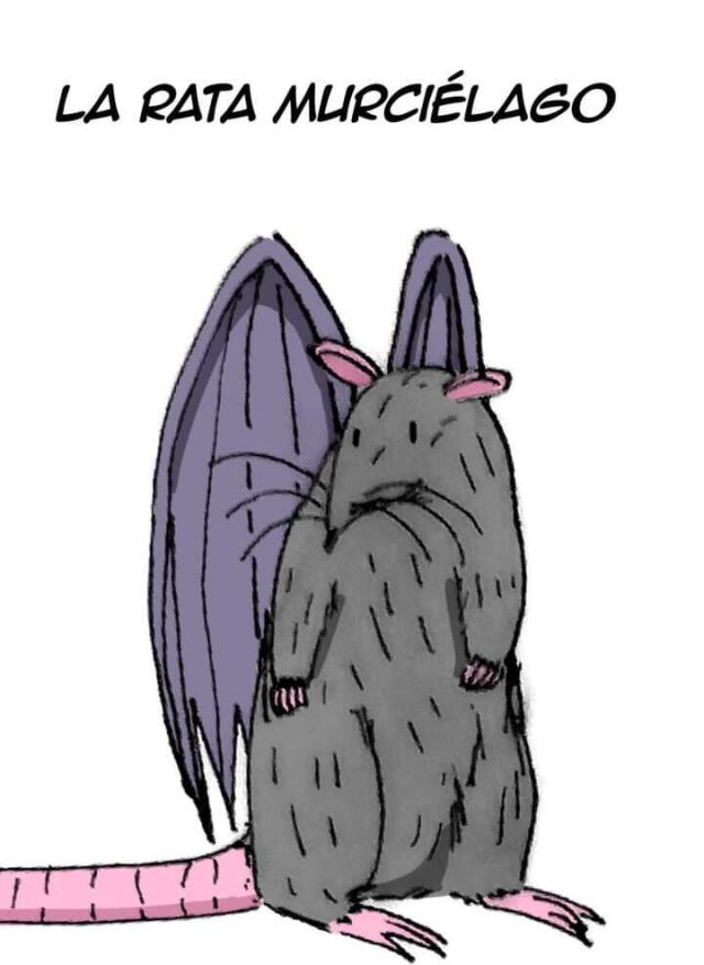 La rata murciélago 