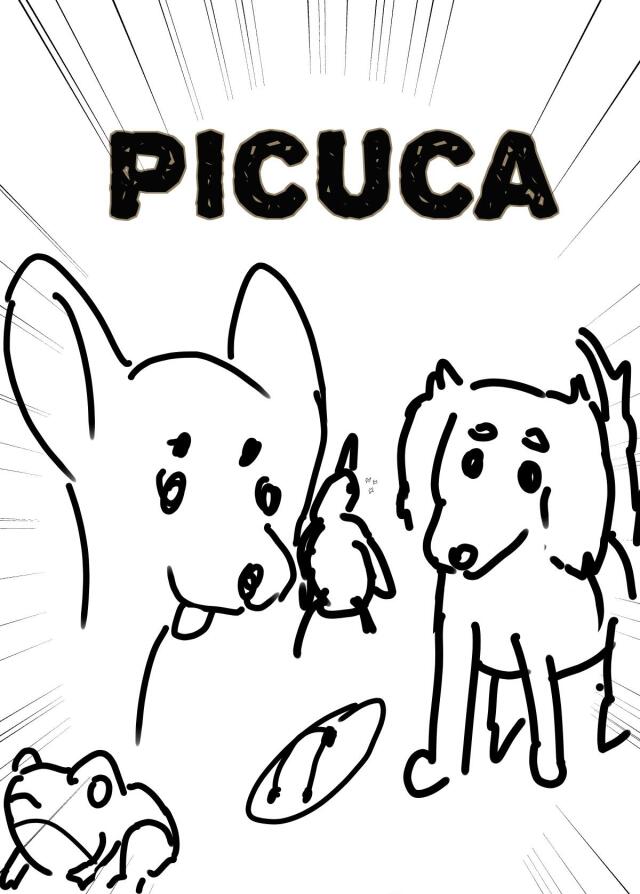 PICUCA