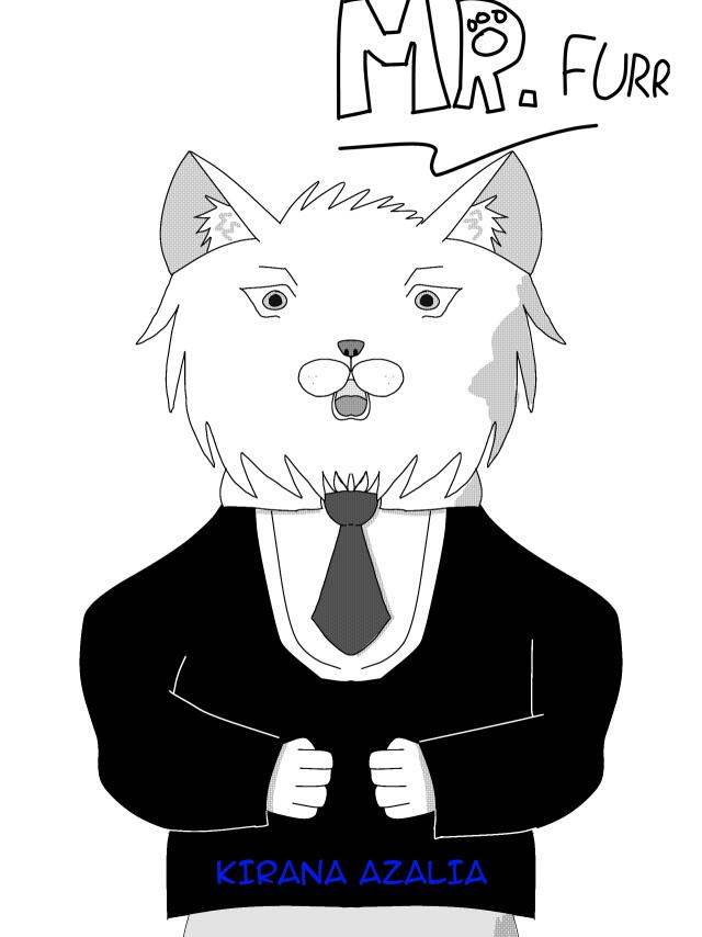 MR.FURR