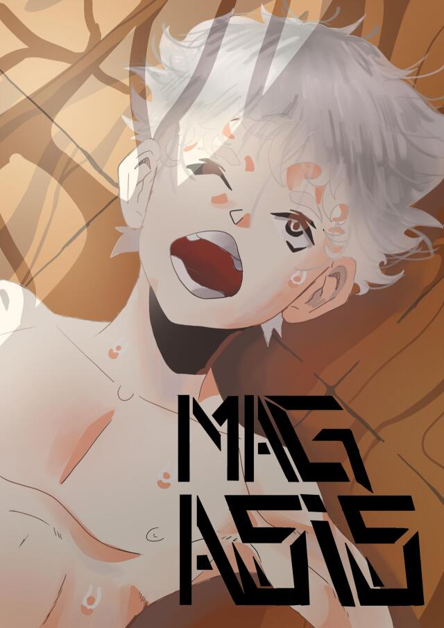 Magasis