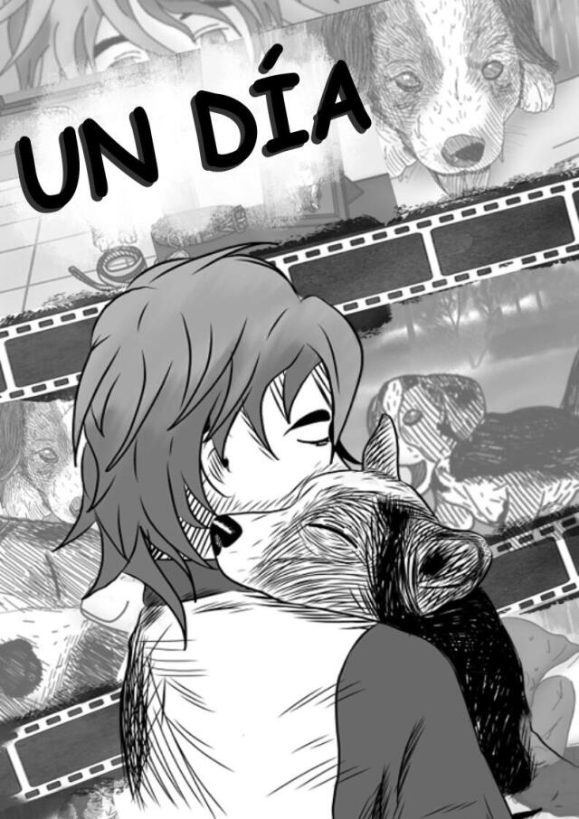 UN DÍA