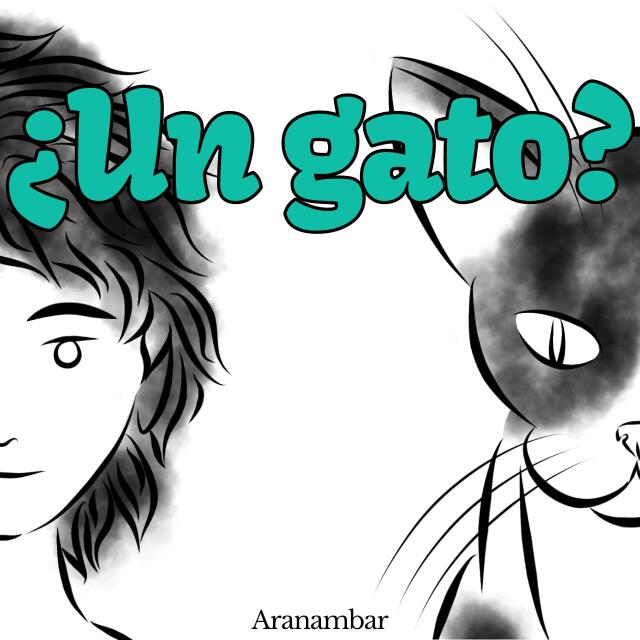 ¿Un gato?
