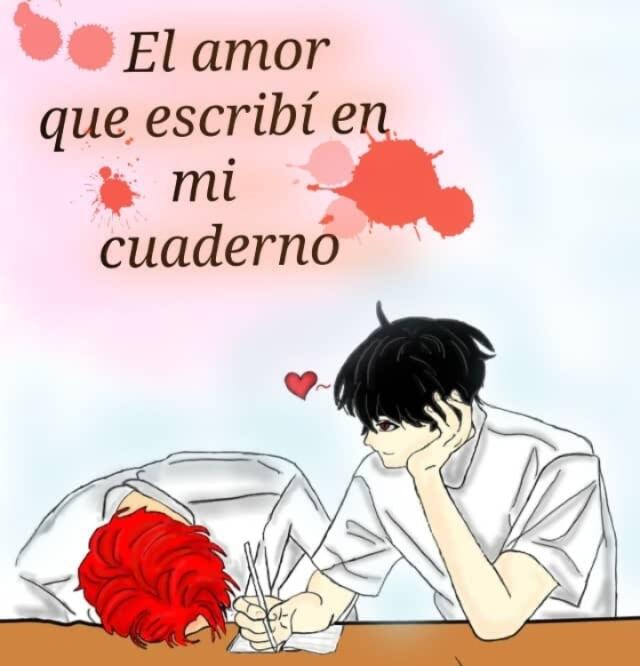 EL AMOR QUE ESCRIBÍ EN MI CUADERNO