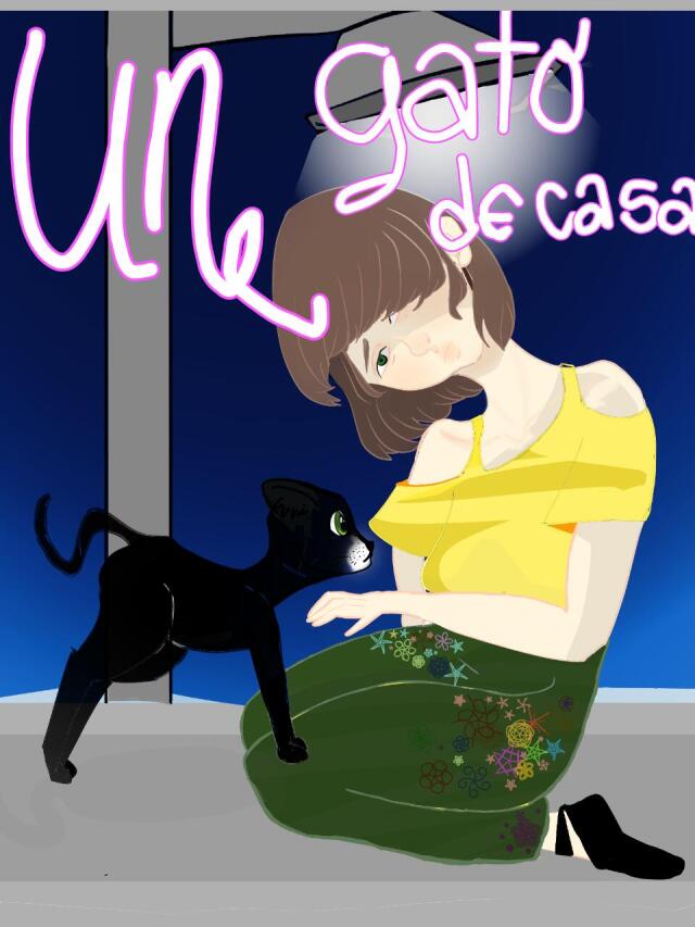 un gato de casa