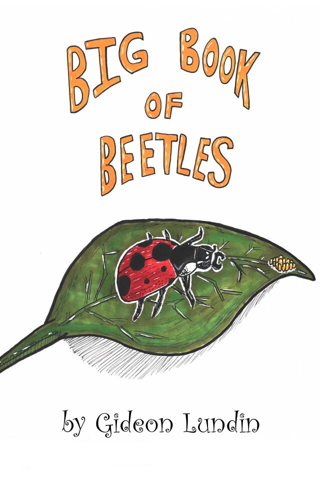 Big Book of Beetles