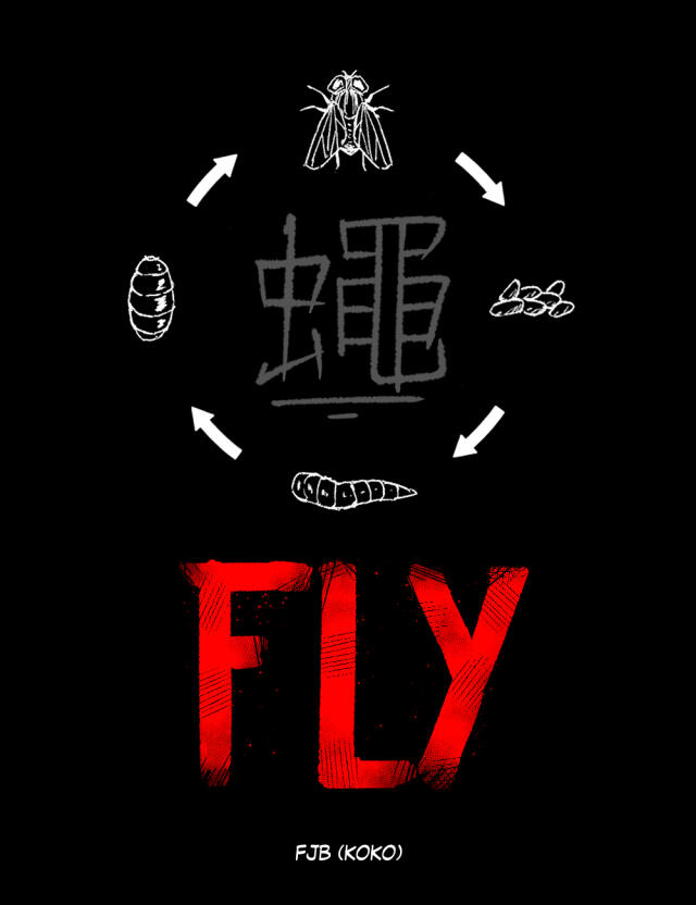 FLY