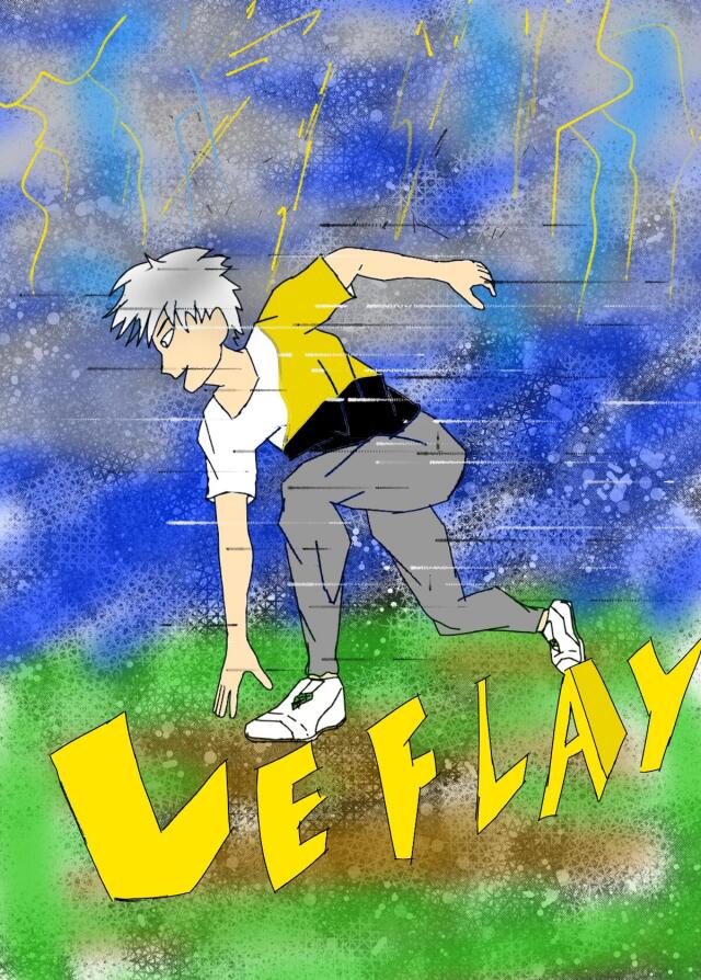 VeFlay