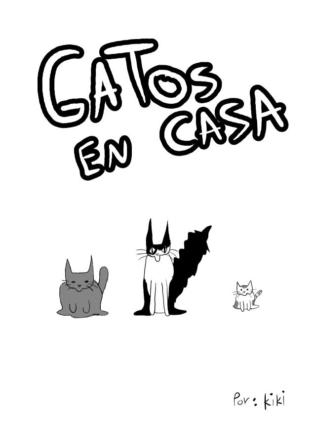 Gatos en casa