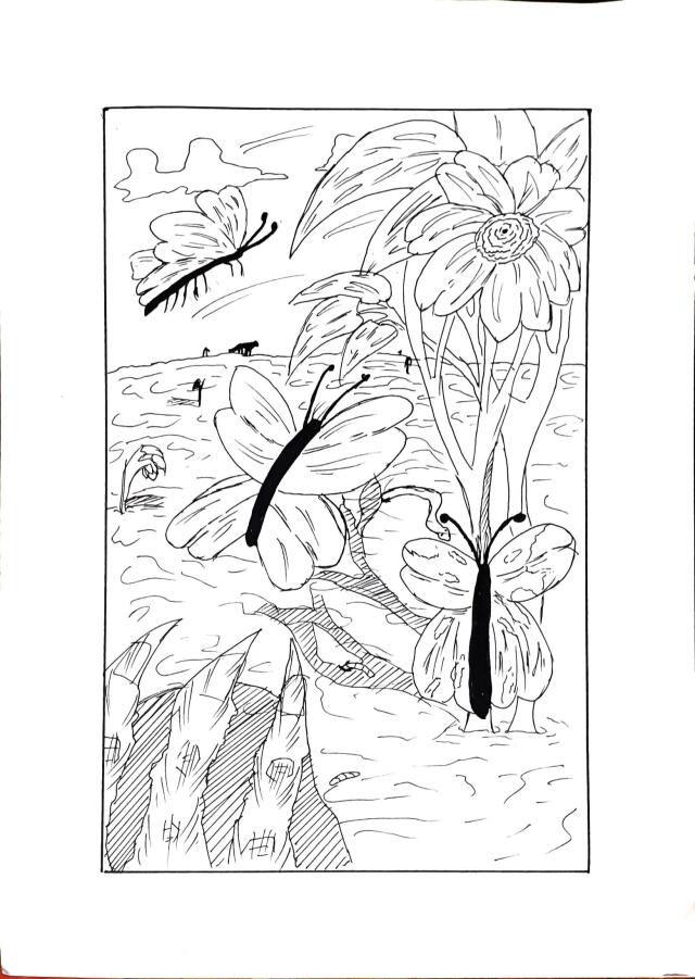 NO.24