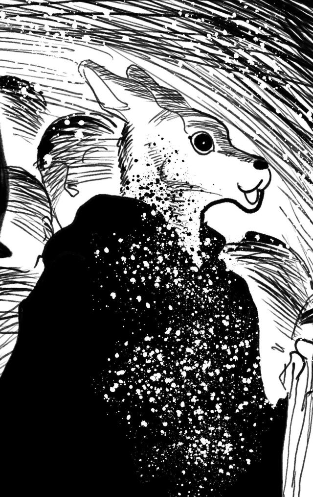 MILLION KANGAROO