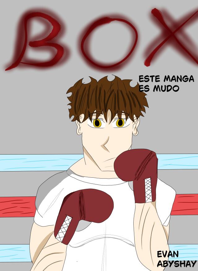 Boxeo 🥊