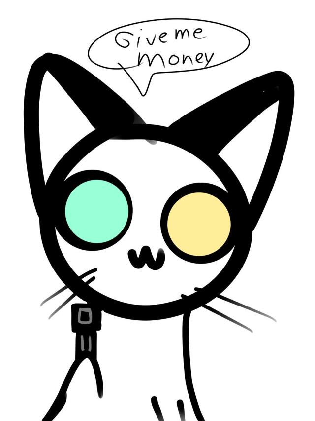 The cat robbery