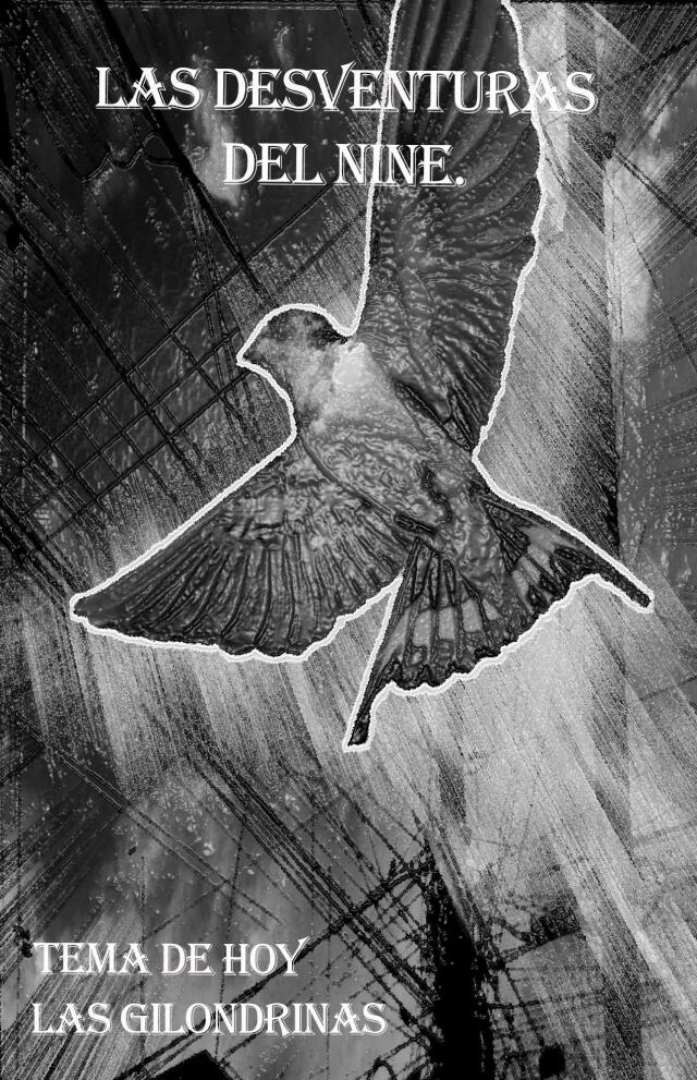 GOLONDRINA PROYECTO