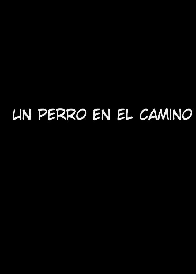 Un perro en el camino