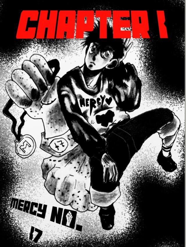 MERCY NO. 17