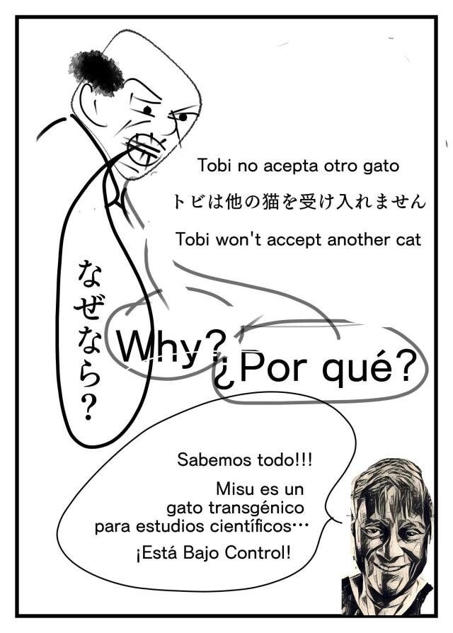Buscando a Misu