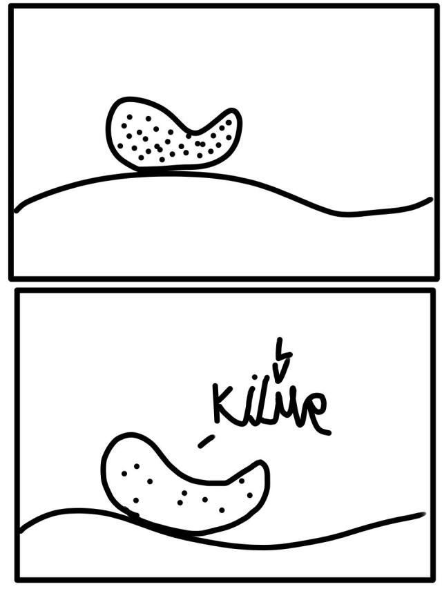 A Potato
