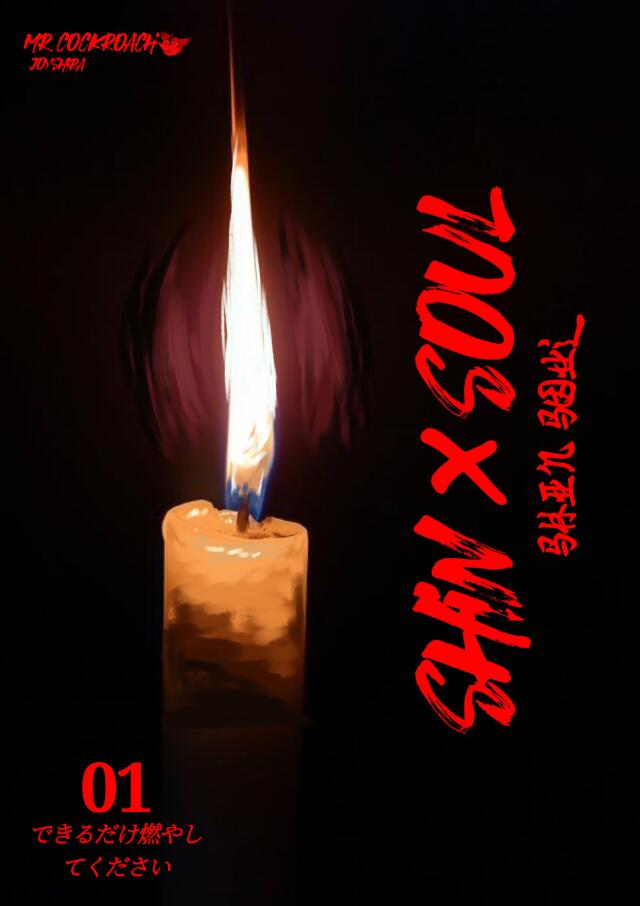 Shin soul (beta)