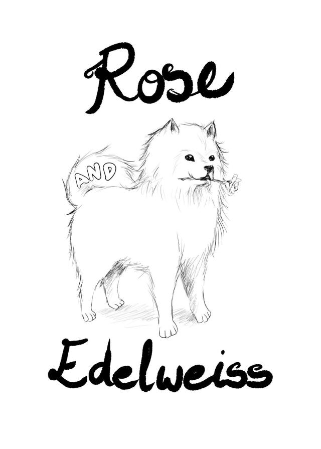 Rose and Edelweiss