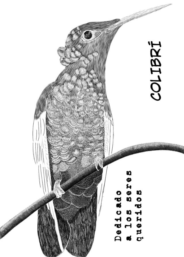 COLIBRÍ 