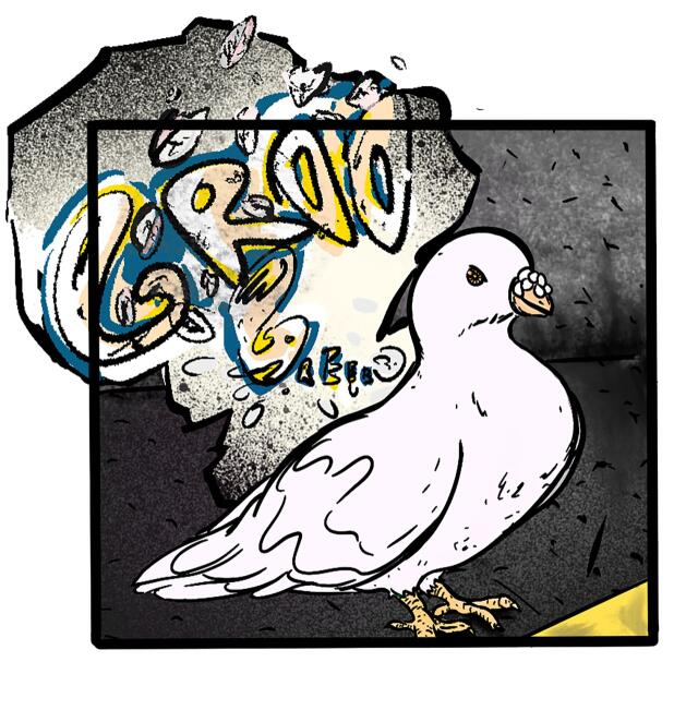 The pigeon's Neck