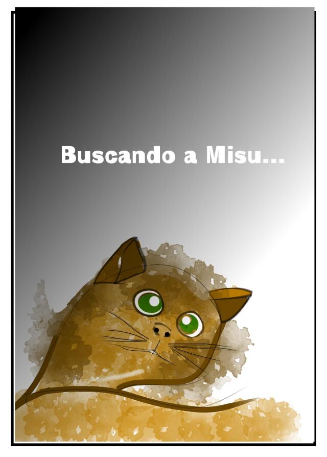 Buscando a Misu