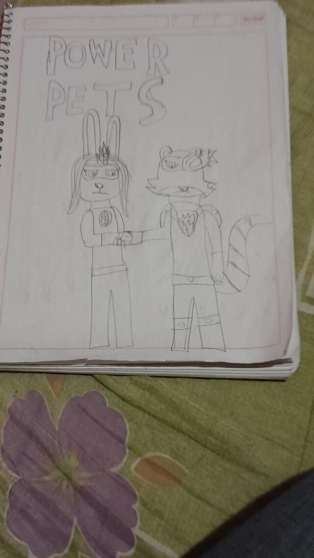 Power pets: Capitulo 5 Servicio en Barrio Mapache