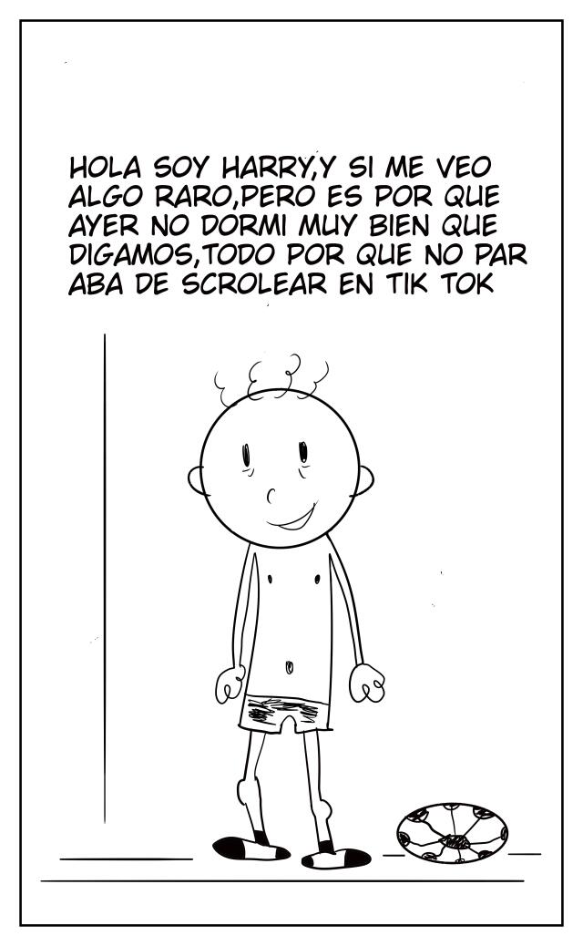 el libro de harry
