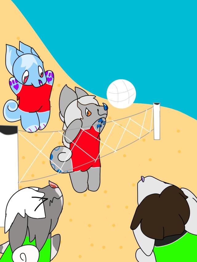 Volley Ball